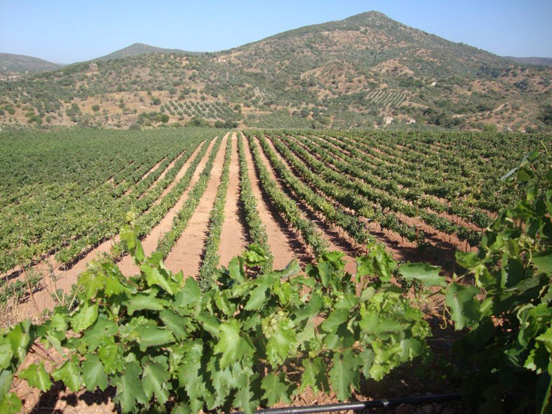 Mura Rossa 2010 Monemvasia Winery 750ml 13% Alc / Vol